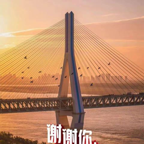胜利号航班