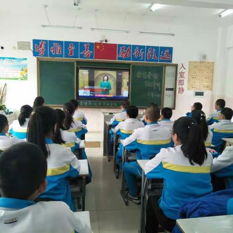 七年八班杏花春雨话清明