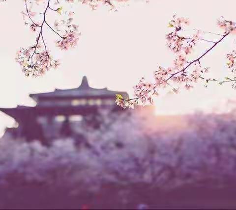 众志成城，共同抗疫。——六年级十班假期抗疫活动掠影。