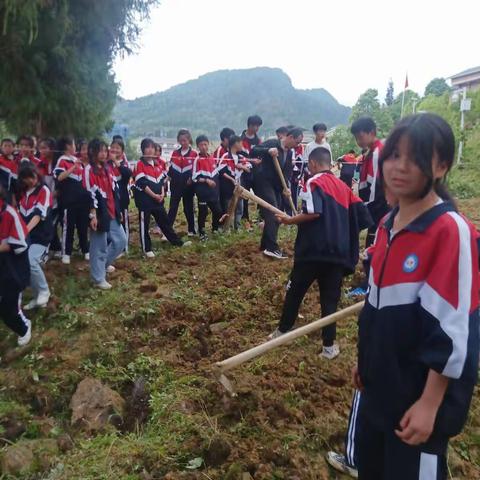 谢坝民族中学打造劳动教育基地记实