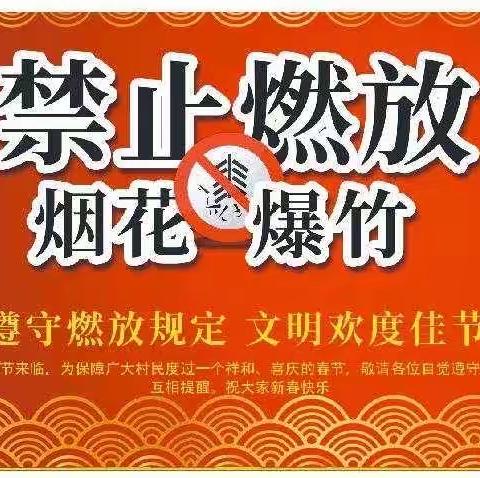 双照红旗小学致家长禁燃禁放倡议书