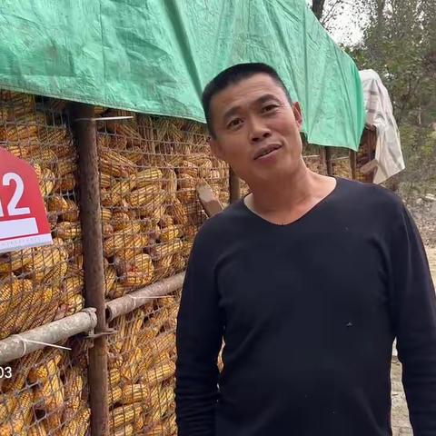 大农户自创玉豆复合种植安全打药机械