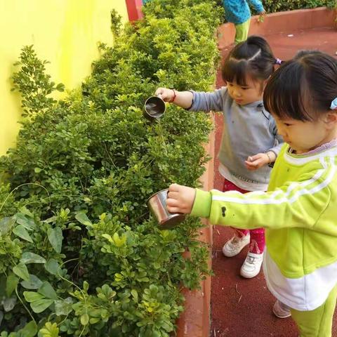 植树节，共建绿色世界