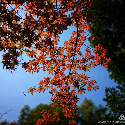 【郁光小学】小小实验大科学，一点一滴皆学问 –––综合学科教研组组织开展第一次教研活动