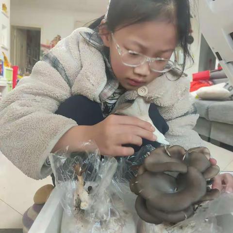 学“”炒蘑菇肉丝”