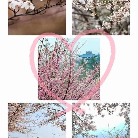 居家拒绝emo    学习运动两不误——梁邹实验中学21级17班