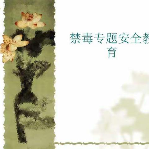 172禁毒安全教育主题班会