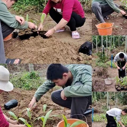 热爱劳动，快乐生活——琼海中学初一3班学生寒假劳动实践