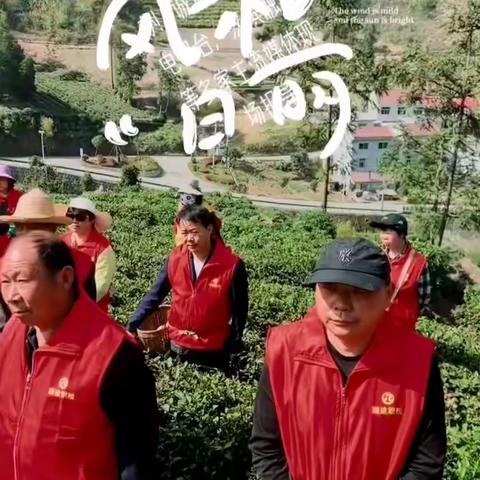 春满壶中留客醉，茶香座上等您来！