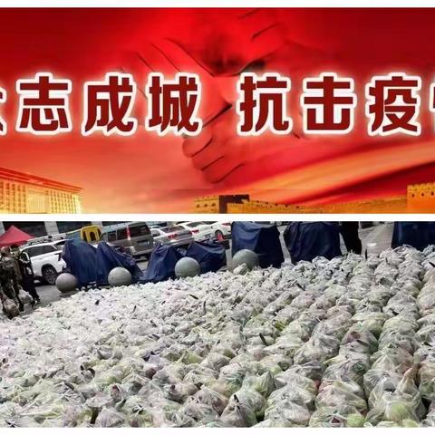 众志成城，静待花开。请党放心，战疫有我！——记本溪市第十二中学第二党支部党员教师下沉社区志愿服务