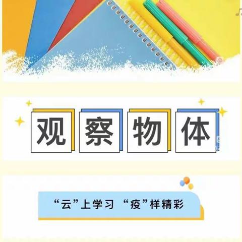 观察物体——岔河中心小学二年级数学综合实践活动