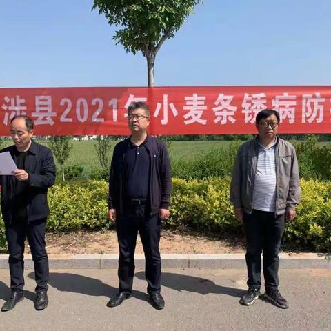 涉县召开小麦条锈病防控现场会