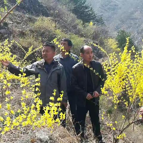 【农业农村局】农业农田周工作4.6-4.9