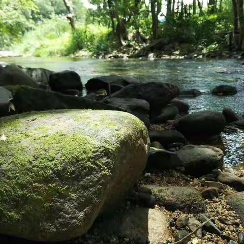 《万宁版爸爸去哪儿：第一期》：discovery 探索发现！国庆节假期万宁香根亲子活动营——大自然神奇探秘之旅！