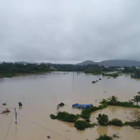 【纪实】航拍11月07日的东澳镇