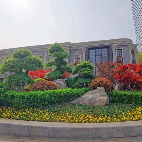 品质历城🌹四月芬芳