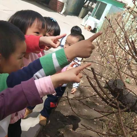 午饭后的小发现！👫👫👫