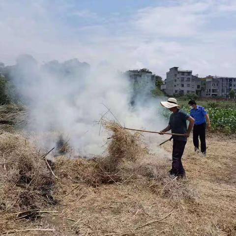高压管控拆违建，多措并举护环境
