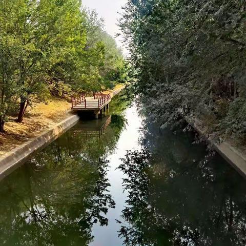 《秋之随想》—李庆祚