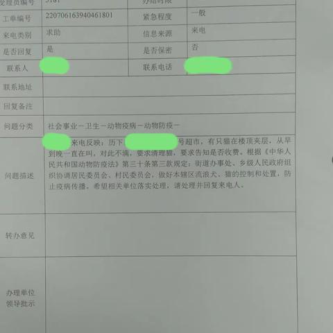 市民热线——拯救小猫 社区担当