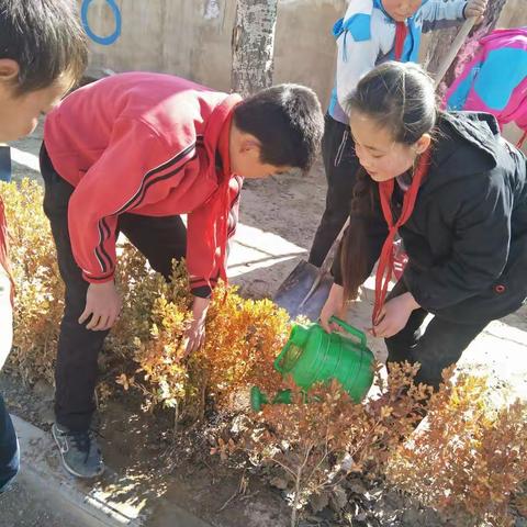 3.12绿化校园，美化环境