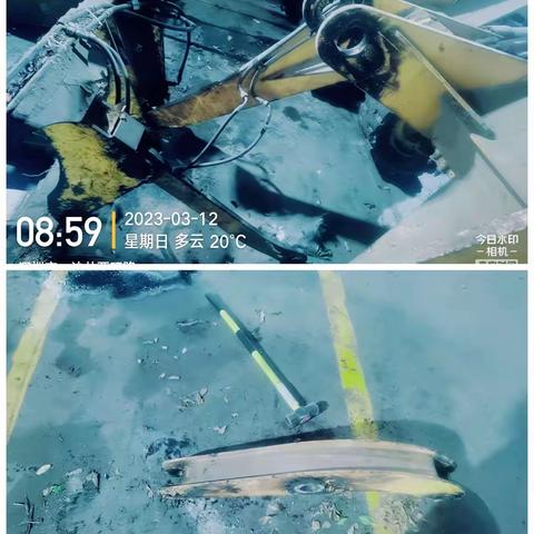 新樟环保废旧家具绿化处理部日志