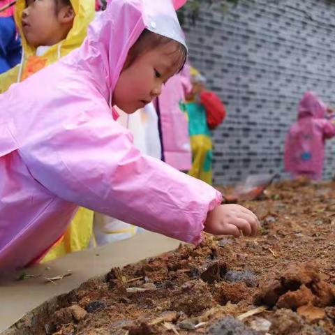 问渠那得清如许    为有“跟岗”活水来——织金县第八小学共同体德育副校长跟岗学习（周三篇）