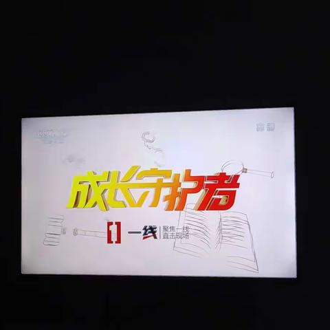 《成长守护者：护苗行动》
