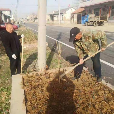 陈东村开展村庄清洁行动，助力现代化乡村振兴