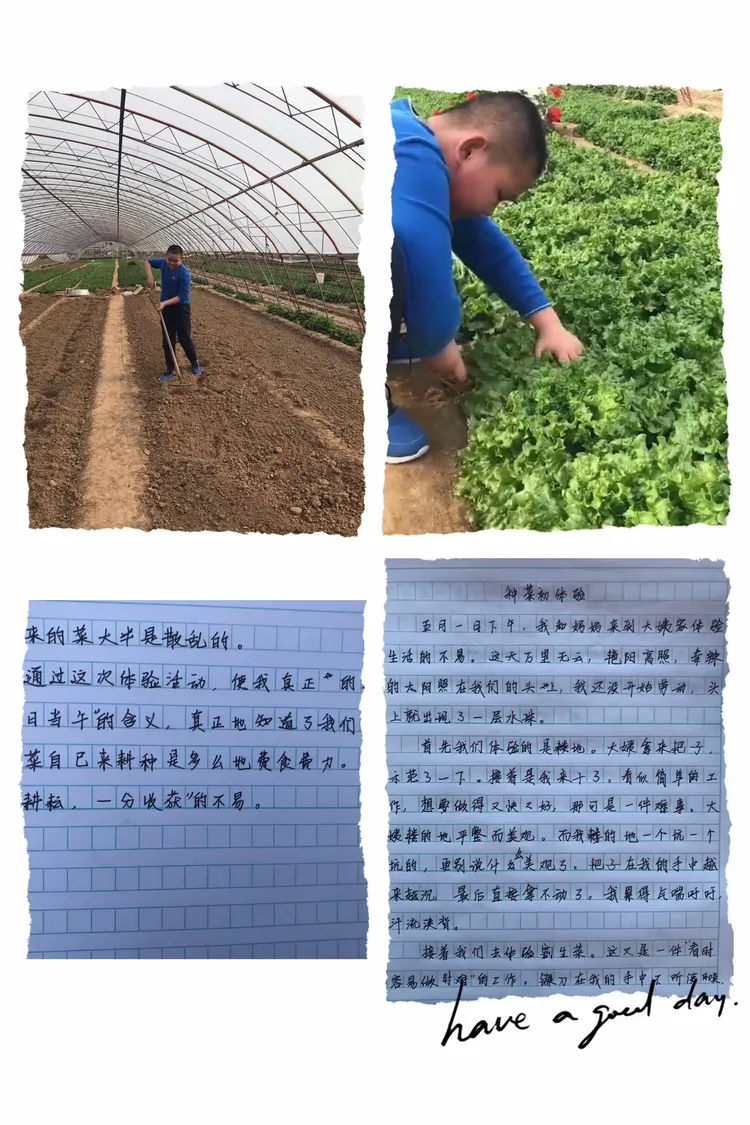 劳动励心智 实践促成长—高密市第一实验小学六（4）中队劳动实践活动