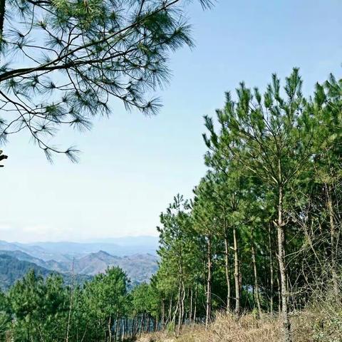 精准扶贫，控辍保学 ——我们在行动