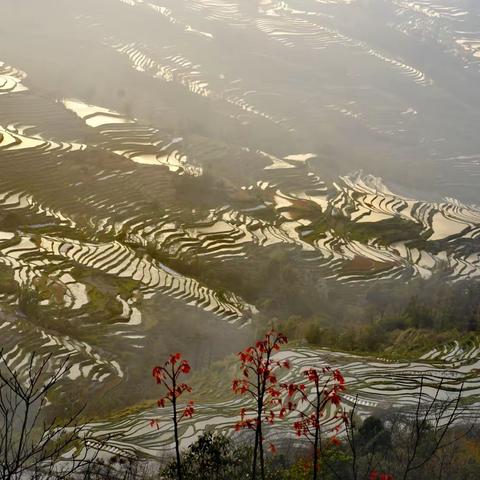 大美滇东南之五：真正的大地雕塑 元阳哈尼梯田