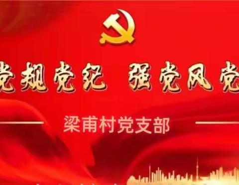 学党规党纪，强党风党性——东南镇梁甫村开展党纪学习教育活动