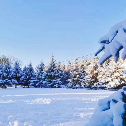 北方的雪