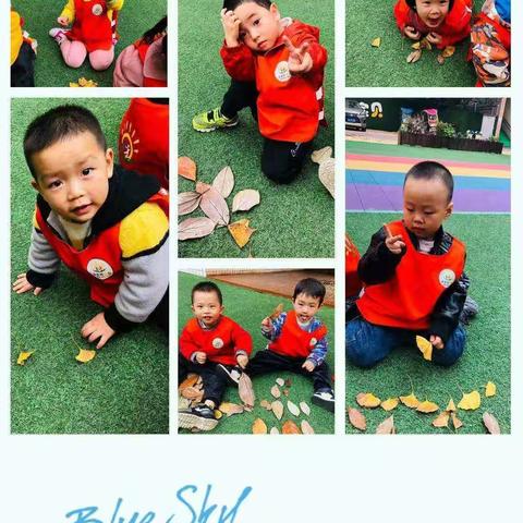 金童幼儿园樱桃🍒一班11月份主题活动（多彩的秋天）