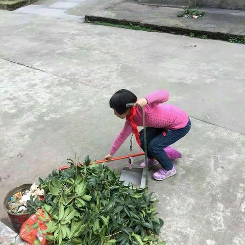 三月，文明之花绽放的季节——记北门小学二(5)“学雷锋，树新风”主题活动