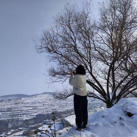 【家庭成员文坛】 赏雪景