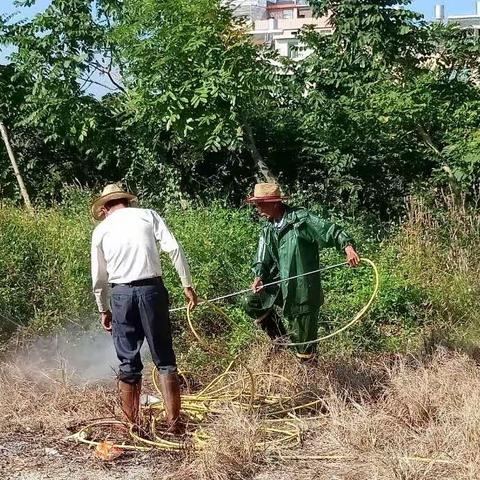 金溪社区紧锣密鼓开展爱国卫生运动及除＂四害＂消杀工作