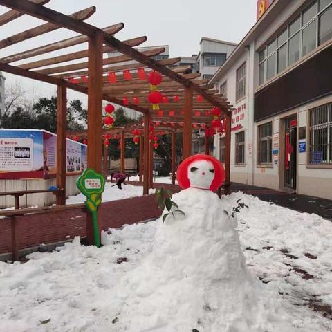 瑞雪迎春到  牛年展新姿