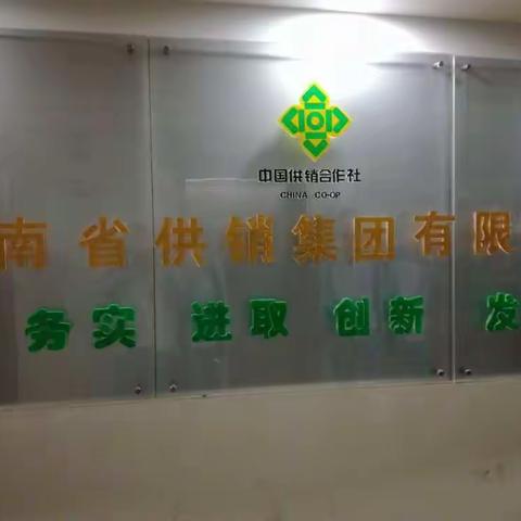 职场体验点滴