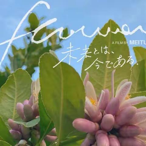 校园农耕，让劳动教育在泥土里“生根发芽” ——厦门市海沧区东孚中心小学第四届校园丰收节
