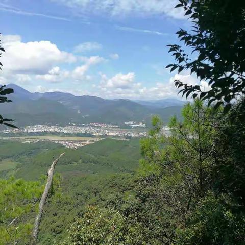 ——尤溪县文公中学九年十七班 社会实践活动林宇鸿