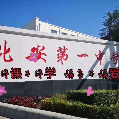 抗击疫情我们与网课奔跑