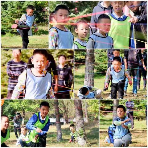 青少年心力成长一日营报名中