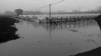 遭遇连续降雨天气，如何正确保护大棚措施