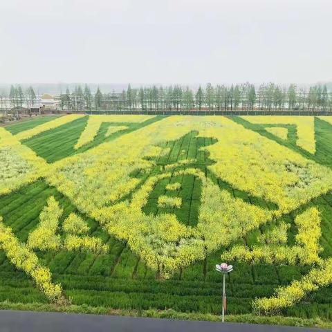 我与春天有个约会～～