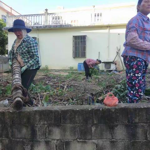 2021年11月22日南丁村第十网格开展人居环境卫生整治