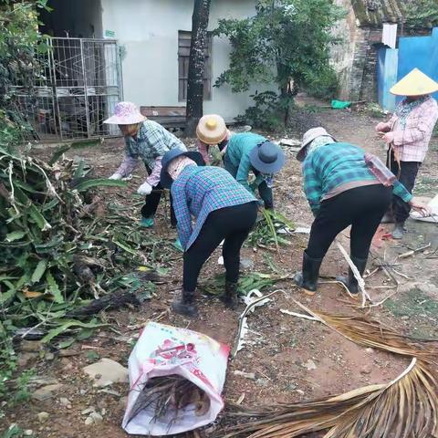 2021年11月23日南丁村第十网格开展人居环境卫生整治