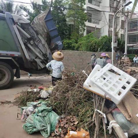 2021年11月24日南丁村第十网格继续开展人居环境卫生整治