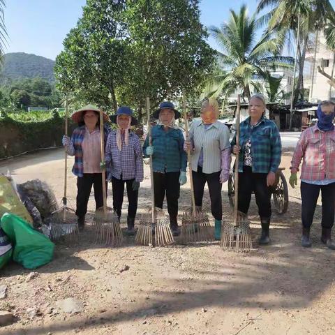 2021年11月19日南丁村第十网格开展人居环境卫生整治